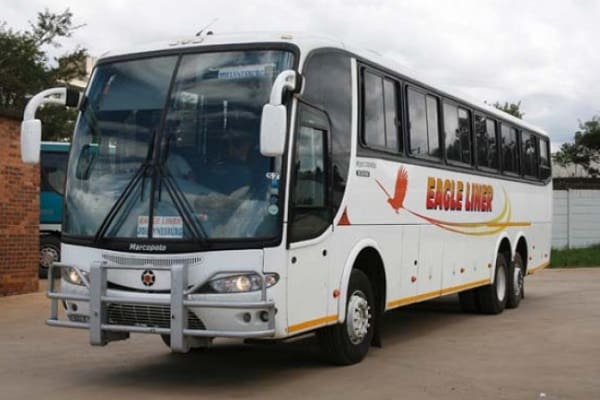Eagle Liner Ticket Bookings, Bus Stations, Fares & Contacts