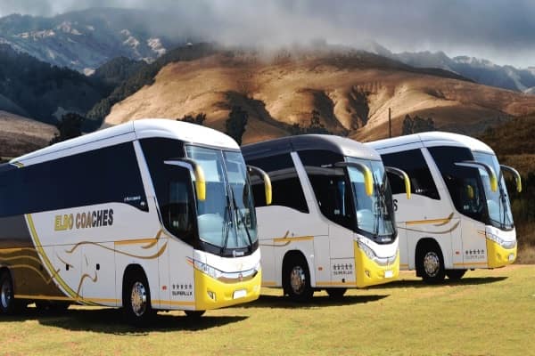 Eldo Coaches Bus Ticket Prices, Booking Methods, Routes & Contacts
