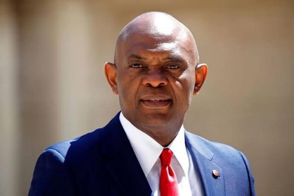 Tony Elumelu Net Worth; Biography, Career, Assets & Facts