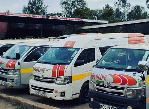 Mololine Prestige Shuttle Online Booking, Routes, Fares, Schedules & Contacts