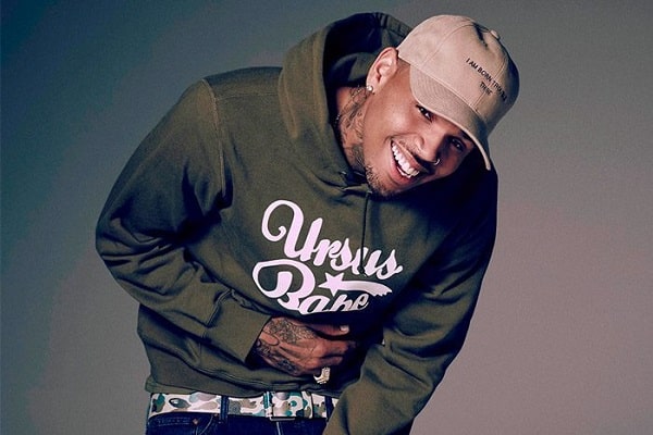 Chris Brown Net Worth And Biography [+Hidden Facts]