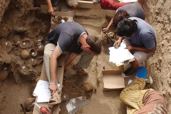 10 Best Universities to Study Archeology in Canada